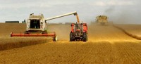 WORLD FOOD PRICES FALL...BUT REMAIN HIGHER THAN LAST YEAR