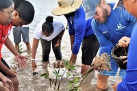 Duke of Edinburgh volunteers plant out mangroves at Barkers