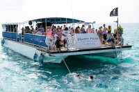 Bars and boats get Sunday nod