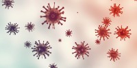Events Supposedly Attributed to Vaccination or Immunisation (ESAVI) online reporting for COVID-19 Fall booster side effects