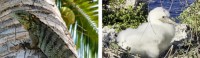 SEVERE EXISTING PENALTIES HIGHLIGHTED IN NEW CONSERVATION REGULATIONS
