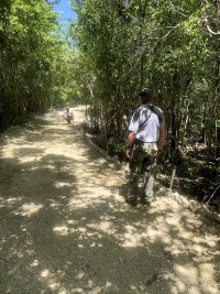 Botanic Park installs permanent survey plots for conservation with UK Overseas Territories’ funding - Join the Walk-and-Learn on Sunday 10th December