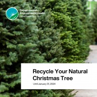 Recycle Your Natural Christmas Tree!