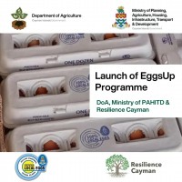 Department of Agriculture Announces Launch of EggsUp Programme in Collaboration with Resilience Cayman