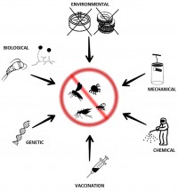 Ministry of Health to Host Regional Meeting on Arboviral Disease Preparedness