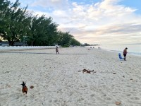 Governors Beach Still Paradise