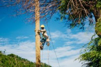 CARILEC Reflects on Challenges and the Resilience of the Caribbean Energy Sector as the 2024 Hurricane Season Ends