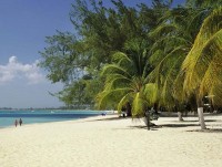 Saving Seven Mile Beach: Between Sand and Sea