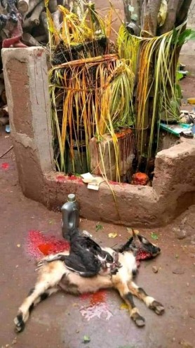 The best powerful spiritual herbalist in Nigeria chief awoniyi+2348117855171