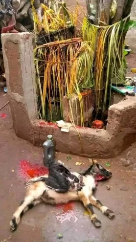The best powerful spiritual herbalist in Nigeria chief awoniyi+2348117855171