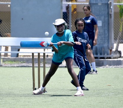 Inter-Primary Cricket Competition completes 4th round of league play