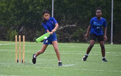 2026 Inter-Primary Cricket Competition