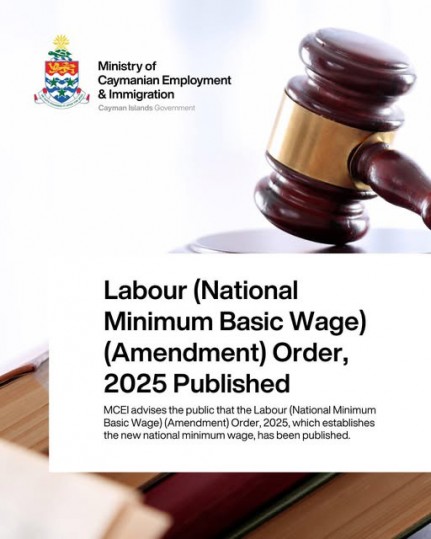 Labour (National Minimum Basic Wage) (Amendment) Order, 2025 Published