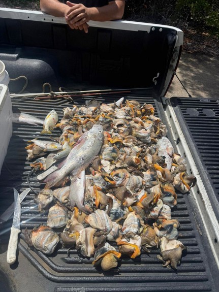 Men Arrested for Poaching