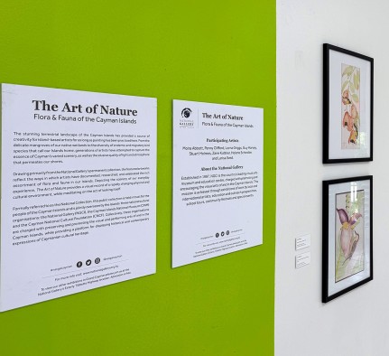 Nature in the art spotlight