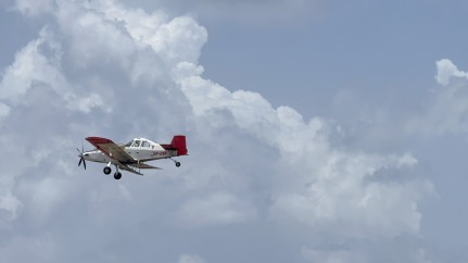 MRCU Conducting Island Wide Daytime Larvicide Treatments