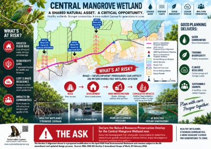 PROTECTING THE CENTRAL MANGROVE WETLAND