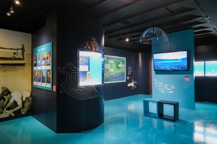 Beyond the Reef: New exhibition explores the hidden world beneath Cayman’s waters
