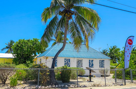 Art Exhibition Explores and Celebrates Cayman’s Ancestry Art Exhibition Explores and Celebrates Cayman’s Ancestry