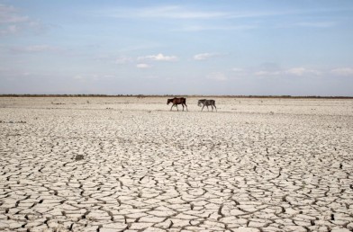 Honduras farmers suffer from drought