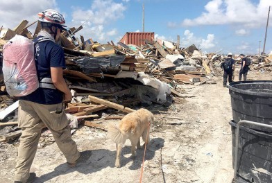 Bahamas fear ‘staggering’ death toll