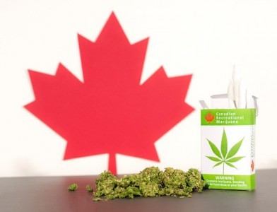 Canada’s cannabis tourism not high