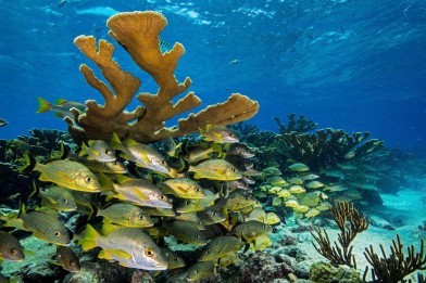 Cuba’s marine laws rely on US