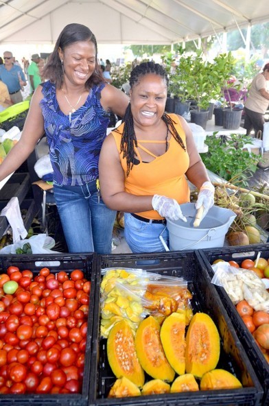 Flashback: Agricultural Show 2015