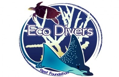 Non-Profit: Eco Divers Reef Foundation