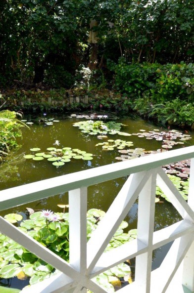 The Botanic Park: nature at its best