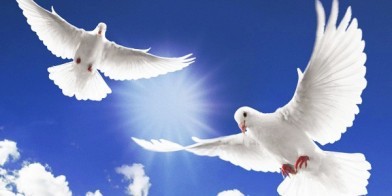 EDITORIAL: Giving back to the Community in time of grief