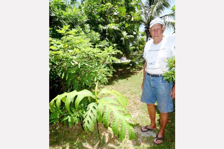 A walk around Kem Jackson’s garden
