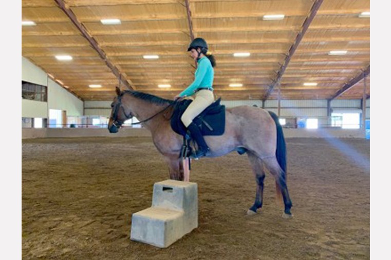Cayman Equestrians Named IEA Dressage Team Champions in Georgia