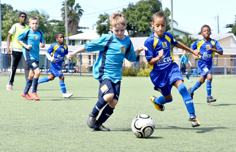 Top Schools advance to Semi Finals