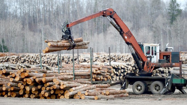 Canada logging damages environment