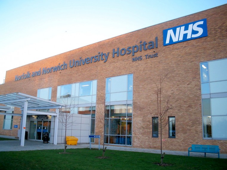 UK goes to the polls with NHS top priority