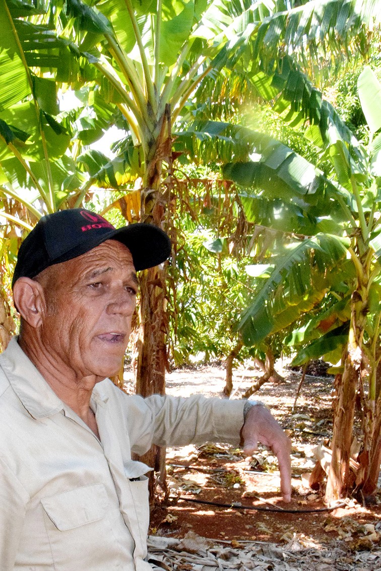 2019 Top Stories: East End’s sweet potato king