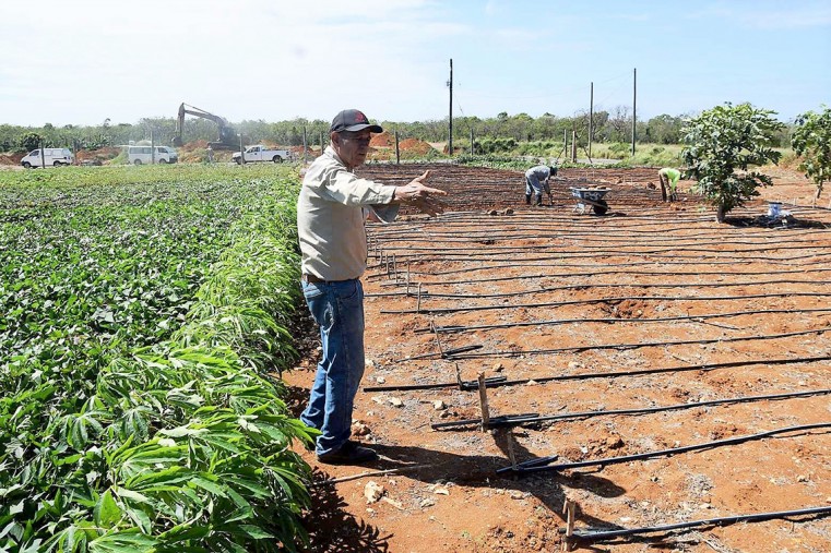 2019 Top Stories: East End’s sweet potato king