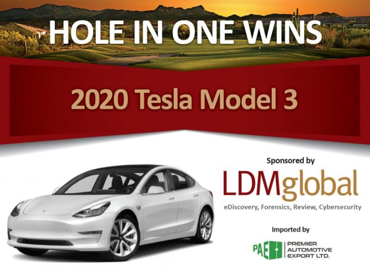 LDM Global offers golfers a chance to win a new Tesla Car