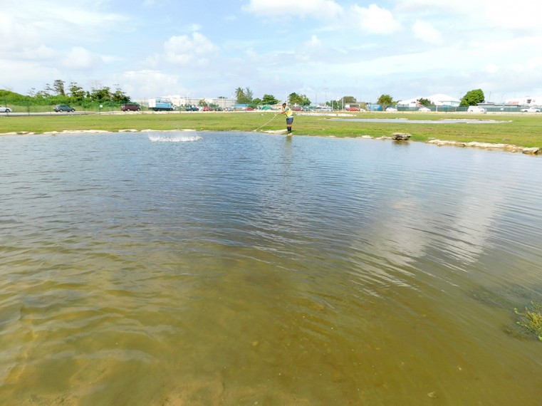 Airport Relocates Pond Wildlife