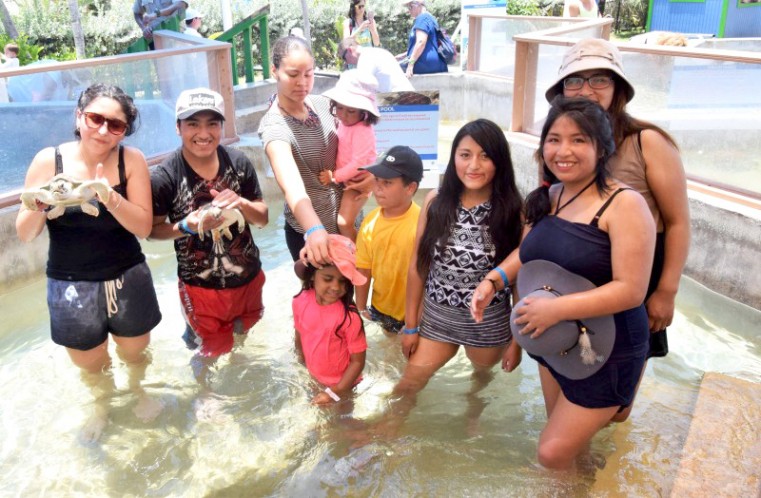 Cayman Turtle Centre