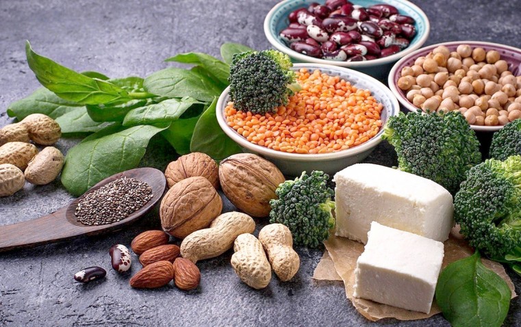 PLANT BASED PROTEINS - GREAT ALTERNATIVE