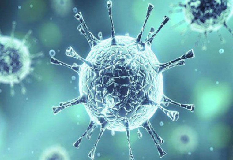 Infectious Disease Precautions and Measures for Hospitality Businesses