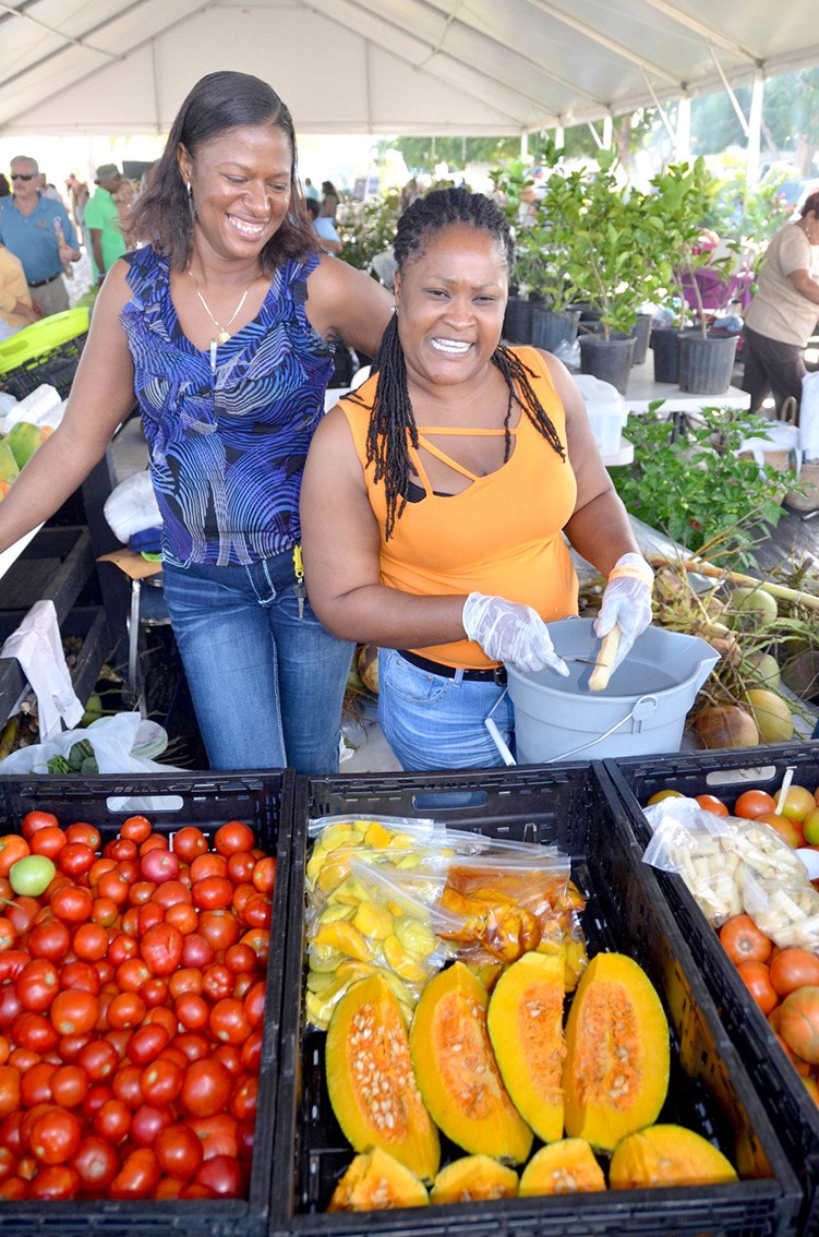 Flashback: 48th Agricultural Show