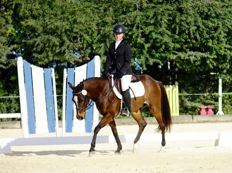 Olivia Ziemniak rode Teddy to a win at Training Level Test 1