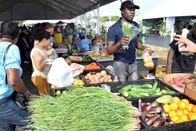 Agriculture show – a celebration of Caymanian tradition and innovation