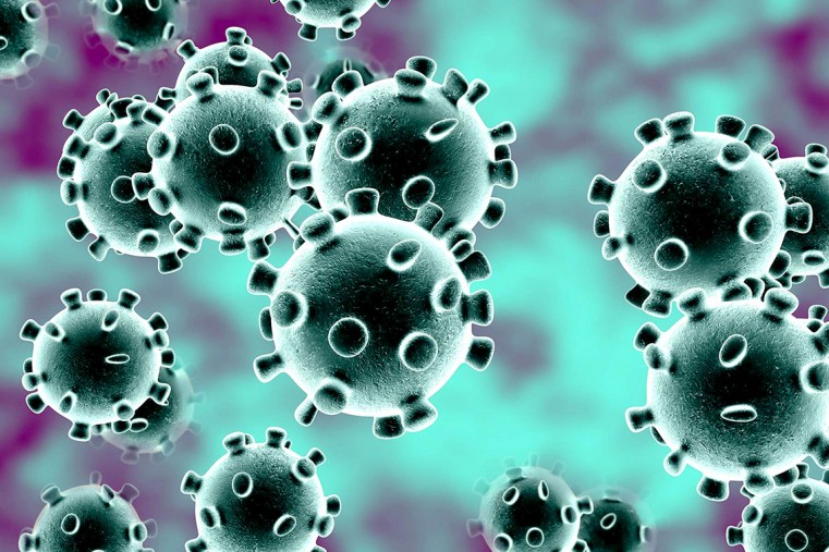 CORONAVIRUS (2019-nCoV) FACT SHEET