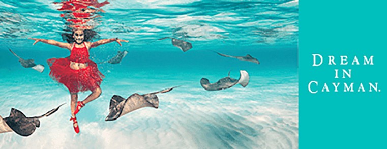 Cayman Islands Department of Tourism Operational Update