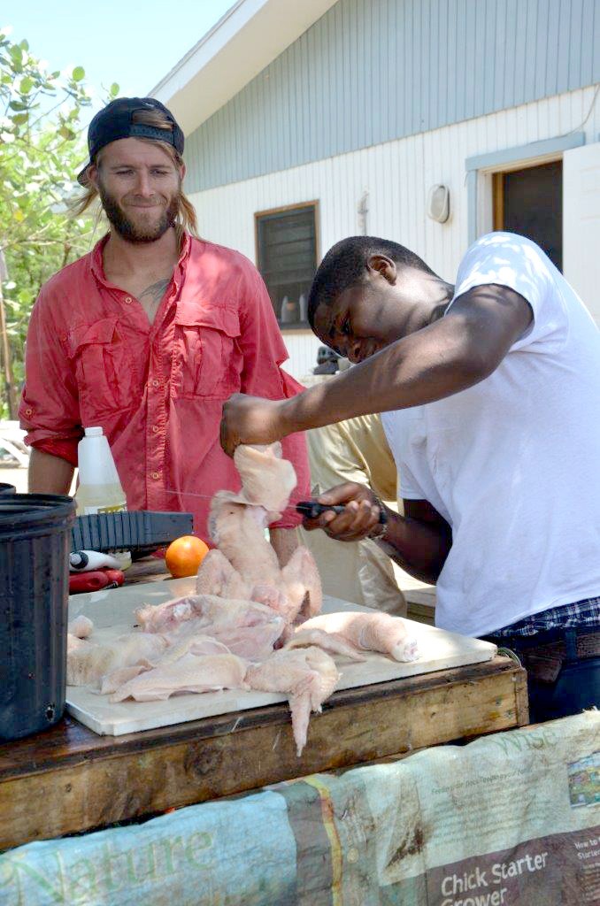 Farmer Josh Clark shows youngsters the art of butchery at his farm