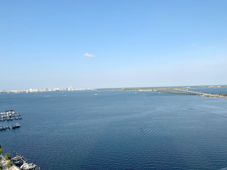 Without recreational boaters on Biscayne Bay, Lina and John have witnessed the waters clear up and the manatees come out like never before from their backyard perch.